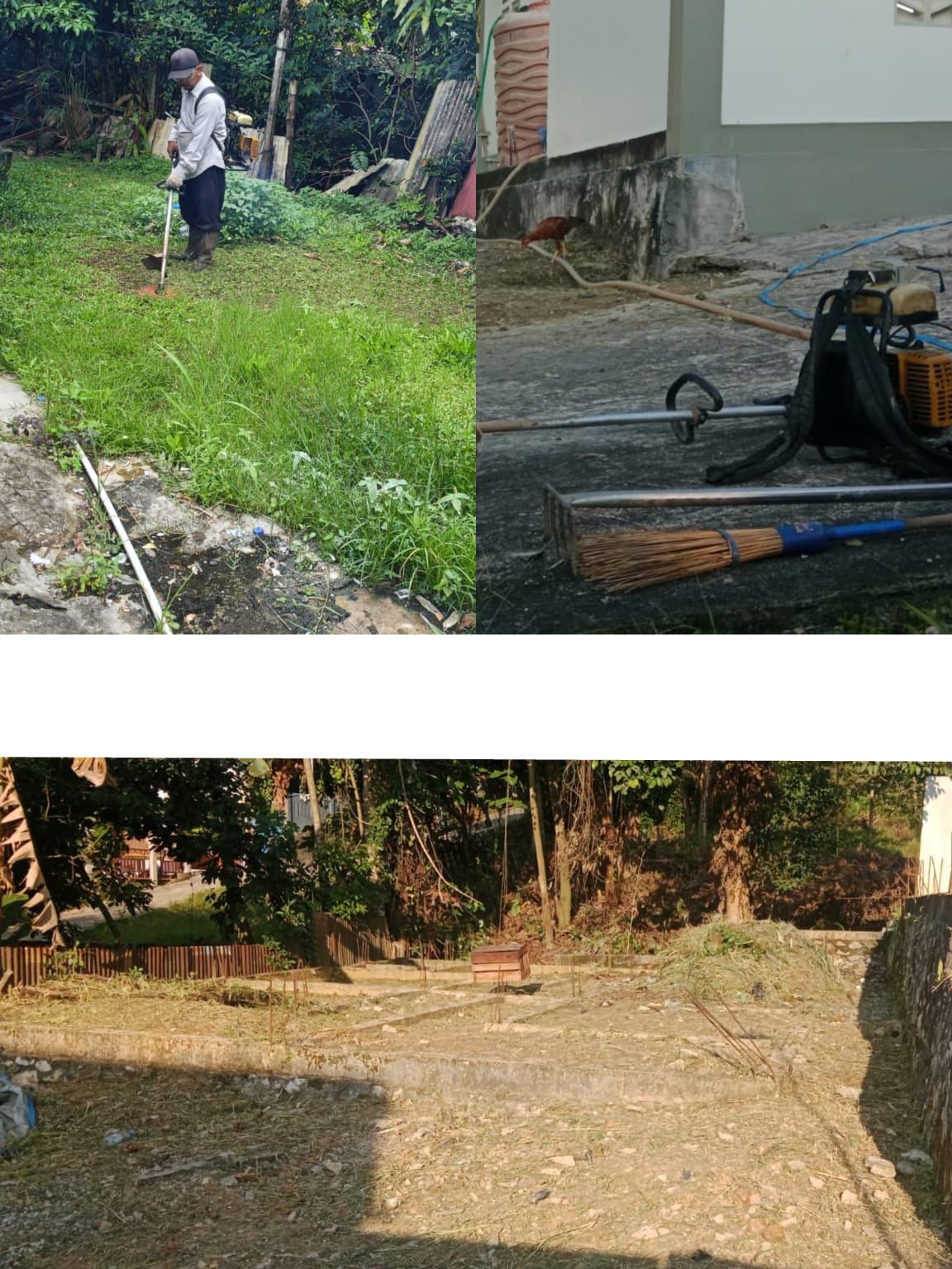 JASA POTONG RUMPUT